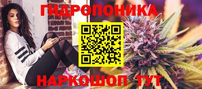 гидропоника Обнинск