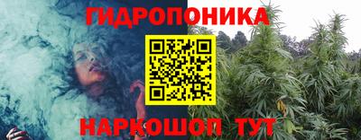 крисы Обь